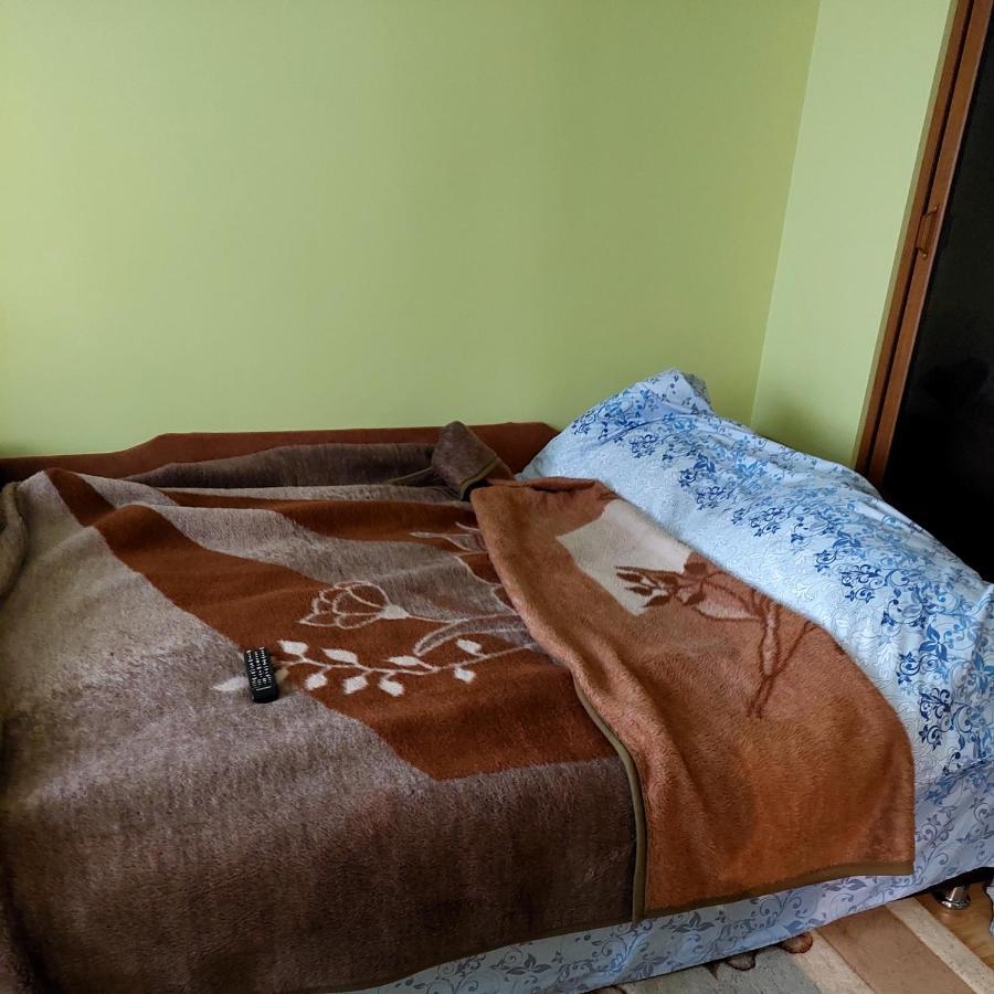 Fely Room Petrosani Ngoại thất bức ảnh