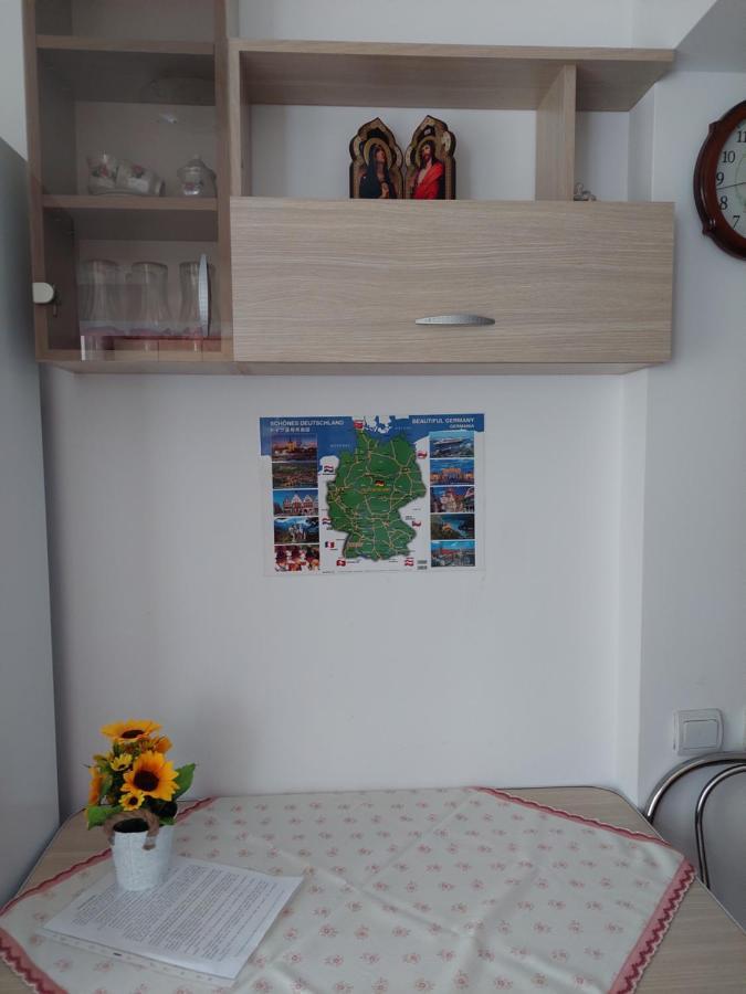 Fely Room Petrosani Ngoại thất bức ảnh